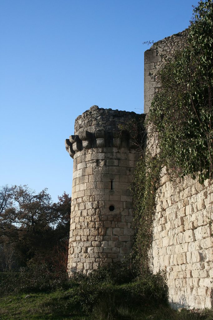 Photo du Château de Blanquefort - Blanquefort (Gironde) 3