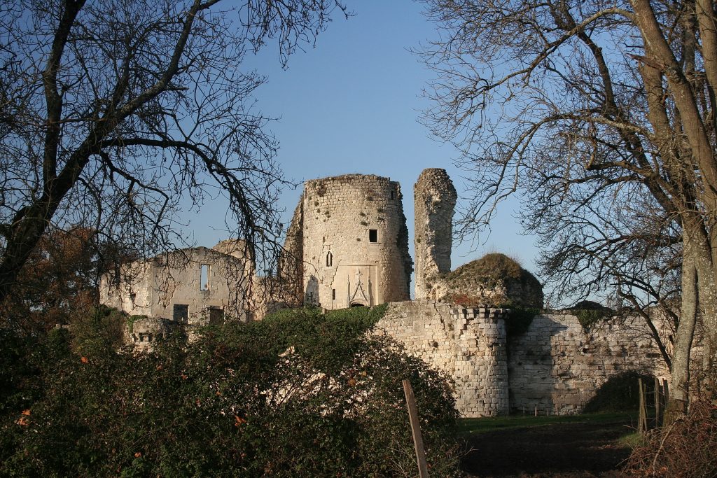 Photo du Château de Blanquefort - Blanquefort (Gironde) 2