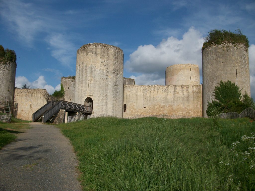 Photo du Château du Coudray-Salbart - Échiré