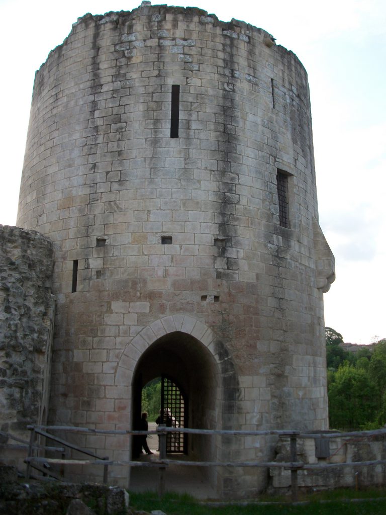 Photo du Château du Coudray-Salbart - Échiré 3