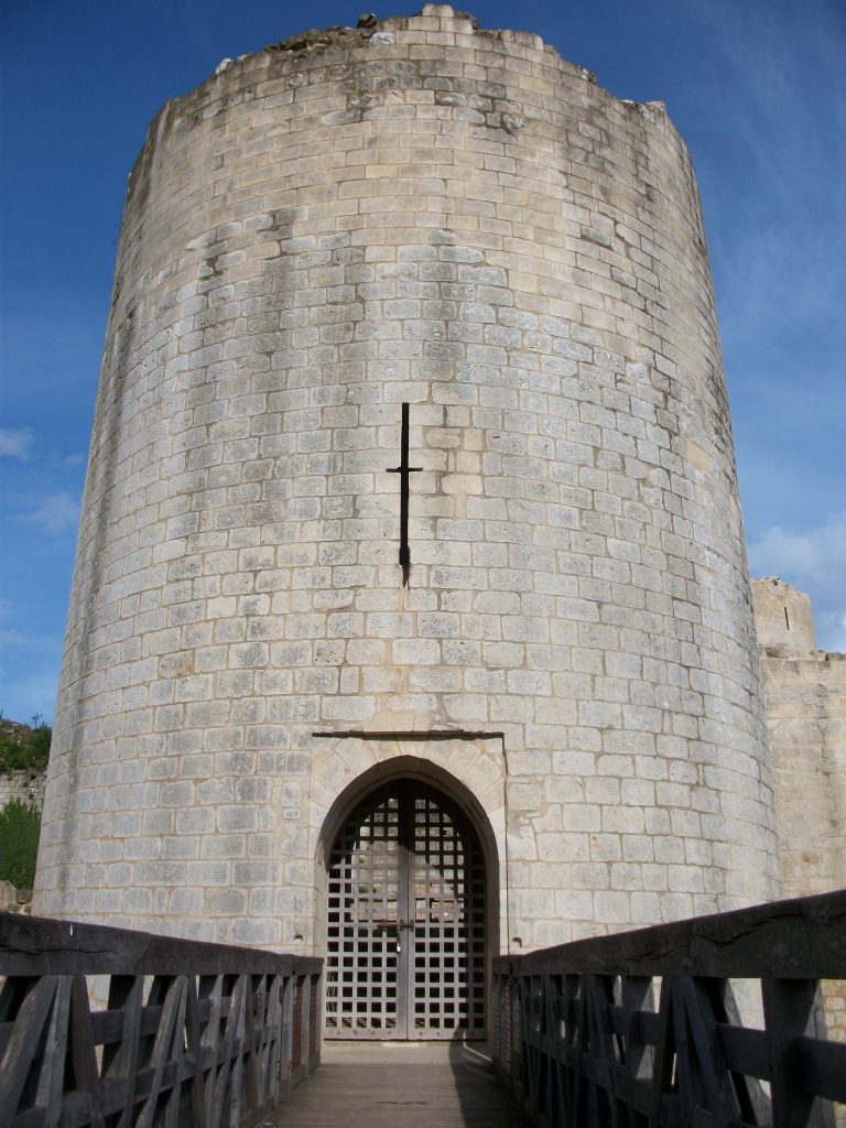 Photo du Château du Coudray-Salbart - Échiré 2