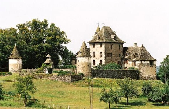 Photo du Château de Vixouze - Polminhac