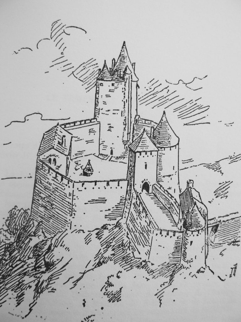 Photo du Château de Clisson - Clisson 1