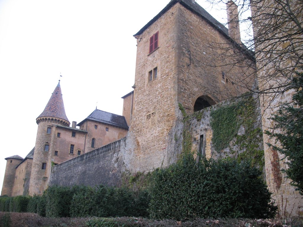 Photo du Château de Jarnioux - Jarnioux 2