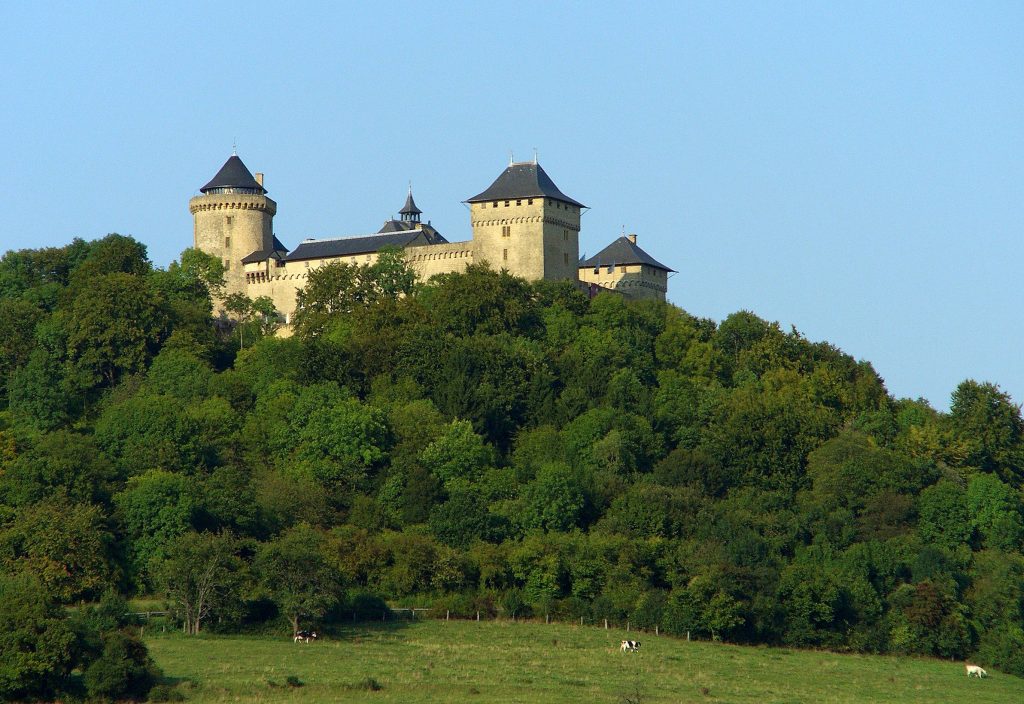 Photo du Château de Malbrouck - Manderen