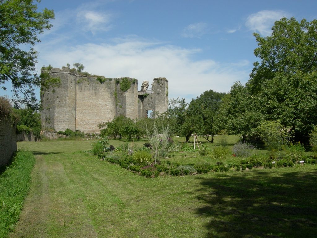 Photo du Château de Montfort (Côte-d’Or) - Montigny-Montfort