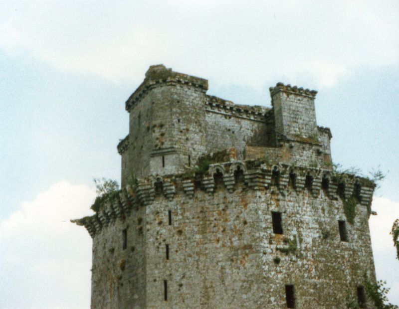Photo du Château de Largoët - Elven 3