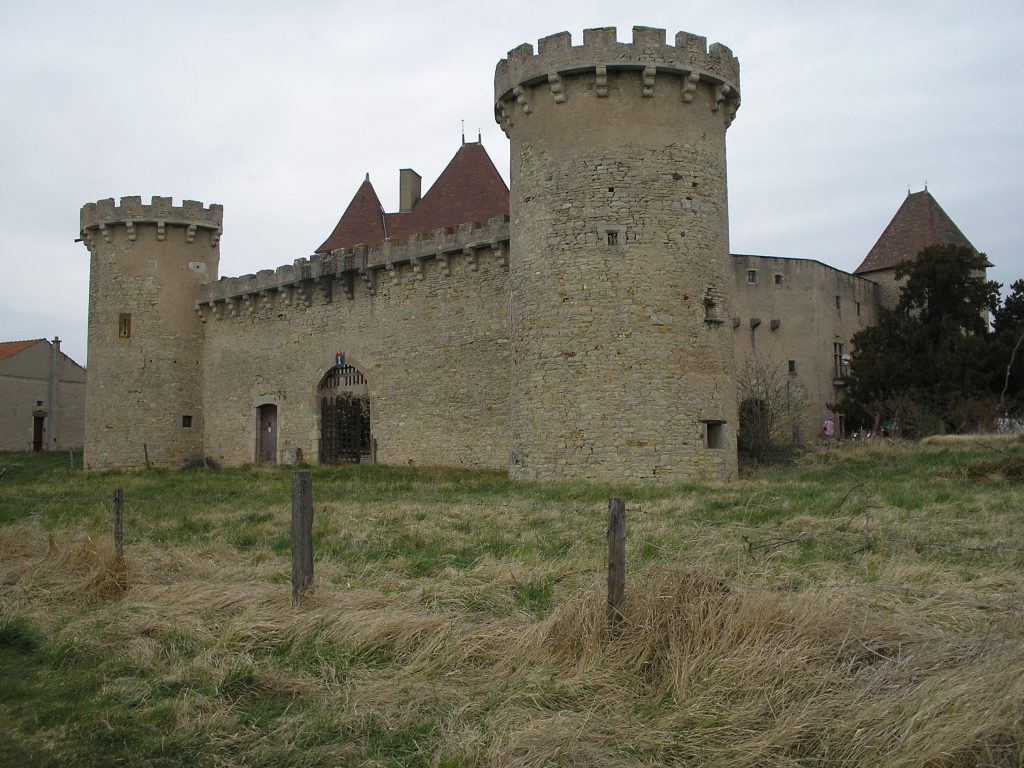 Photo du Château de La Roche (Puy-de-Dôme) - Chaptuzat 1