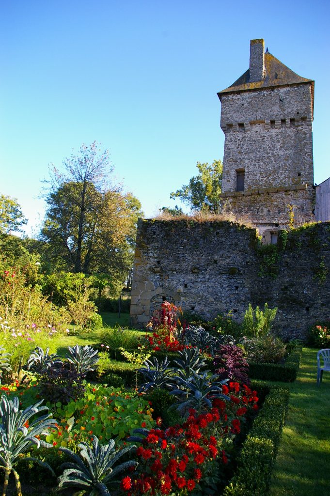Photo du Château de la Courbe de Brée - Brée