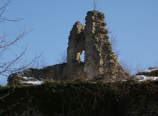 Photo du Château du Morimont - Oberlarg 2