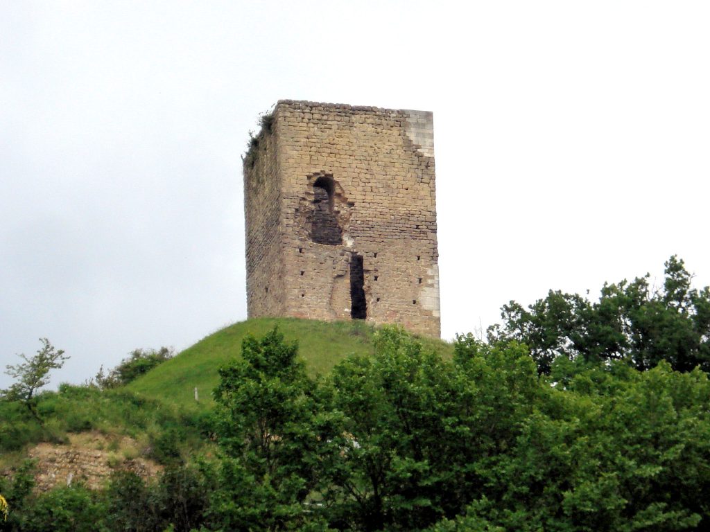 Photo du Château d’Albon - Albon 3