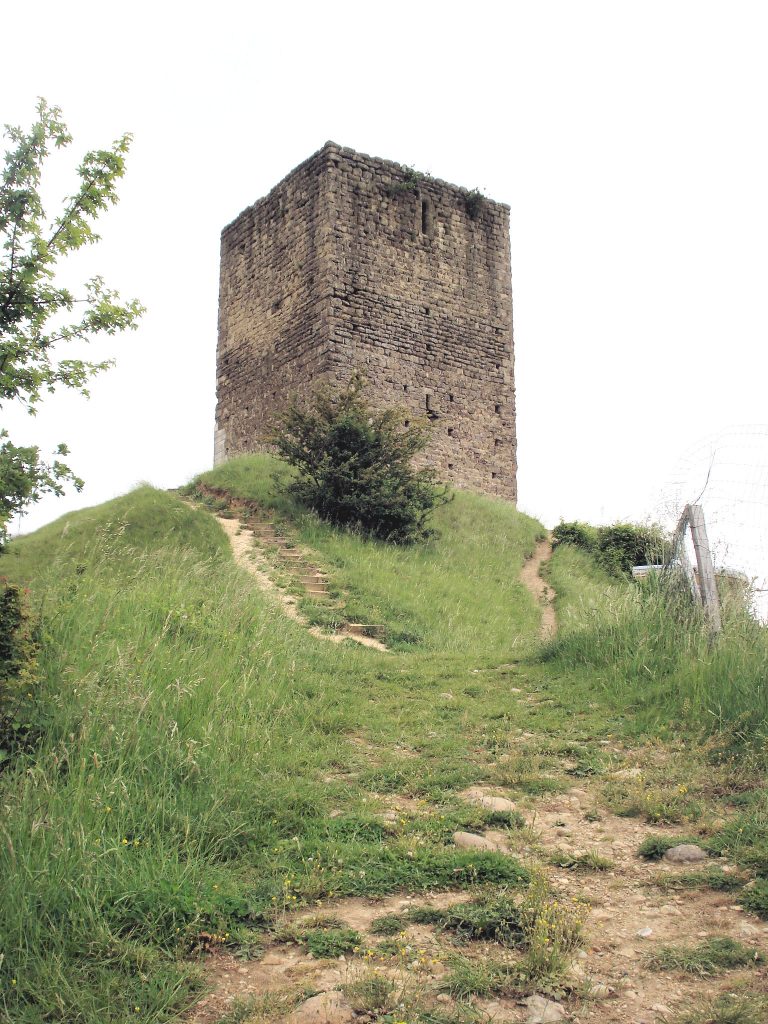 Photo du Château d’Albon - Albon 1