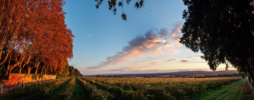 Photo du Château la Nerthe - Châteauneuf-du-Pape 1