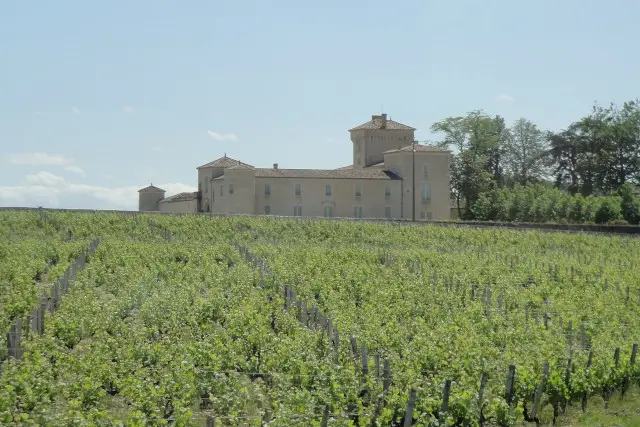 Photo du Château Lafaurie-Peyraguey - Bommes 1