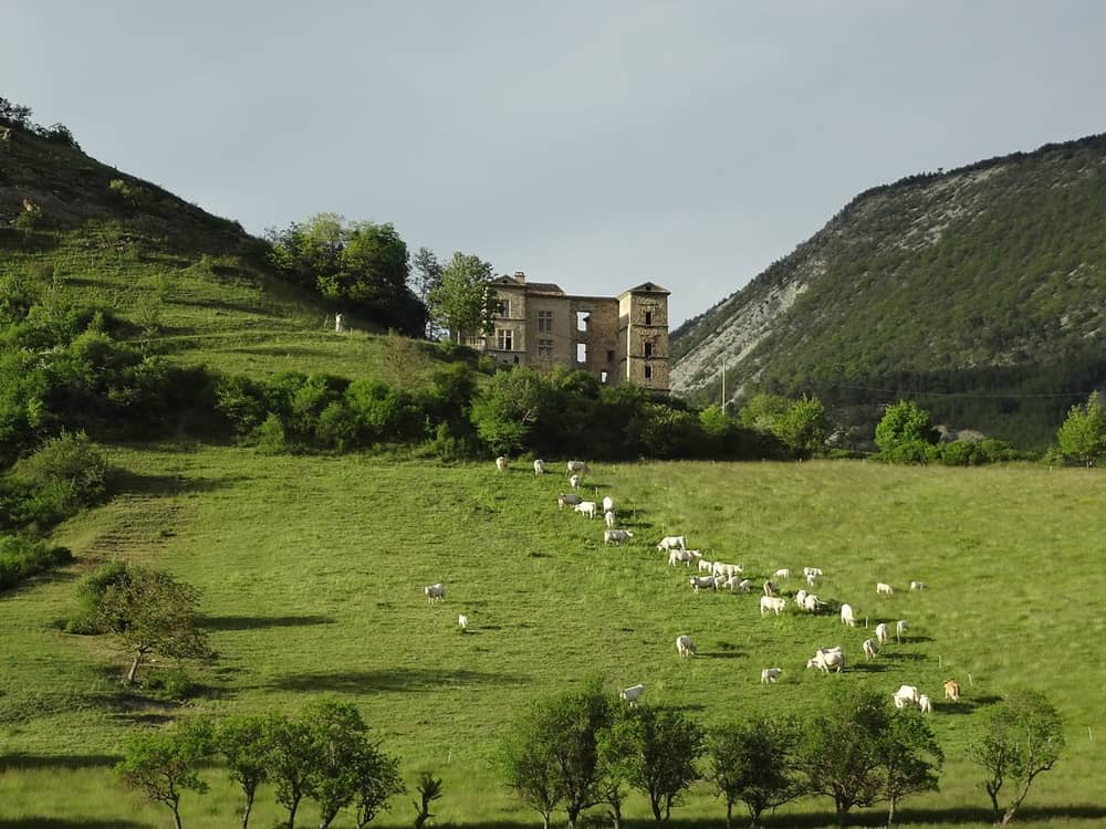 Photo du Château de Clumanc - Clumanc